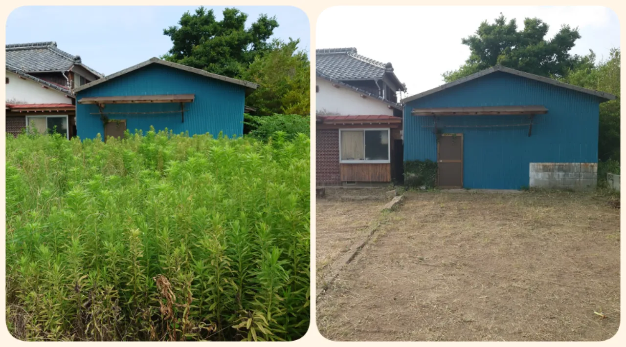 玉名市での庭木の剪定・空き家のジャングル化したお庭の草刈り作業